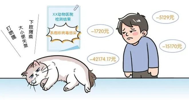 3萬買貓后續(xù)治療費6萬法院判了！(圖3)